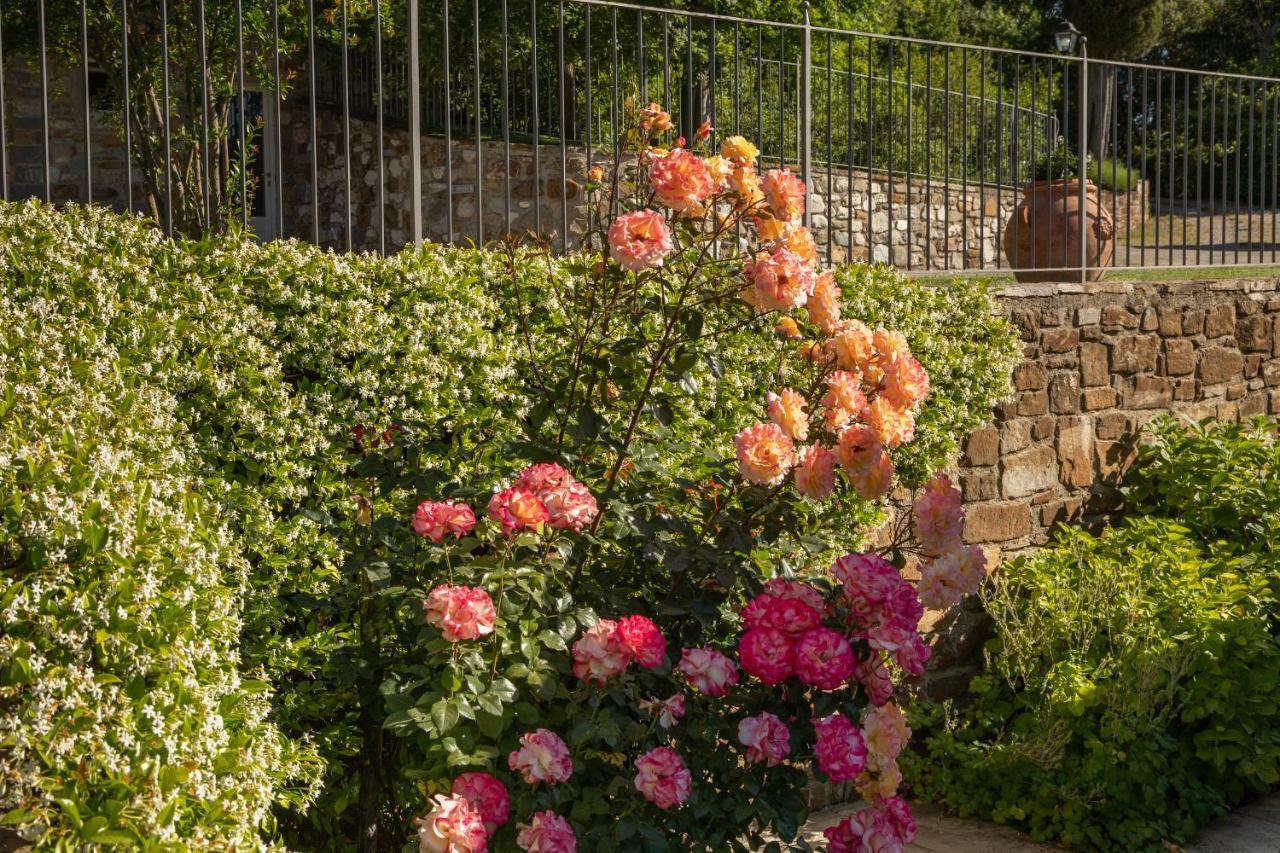 Podere Cerretino Poppi Exteriér fotografie